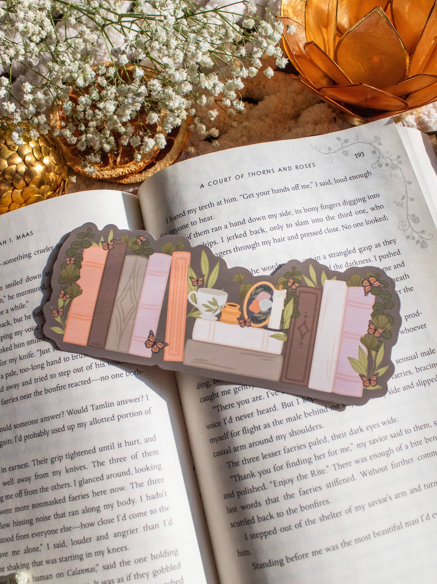 Meaggie Moos - Light Academia Bookshelf Bookmark | Soft Touch - The Secret Garden Bookery