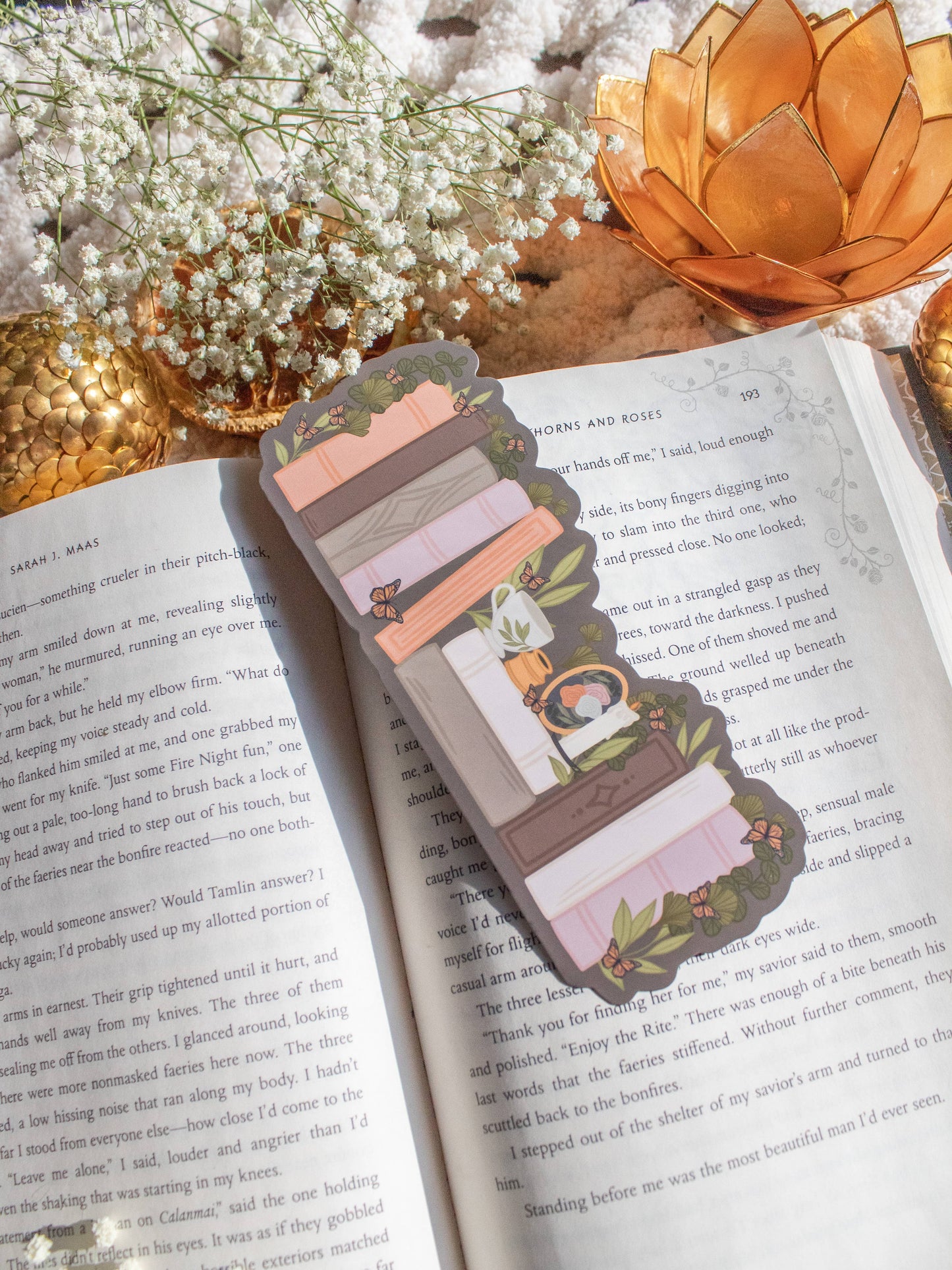 Meaggie Moos - Light Academia Bookshelf Bookmark | Soft Touch - The Secret Garden Bookery