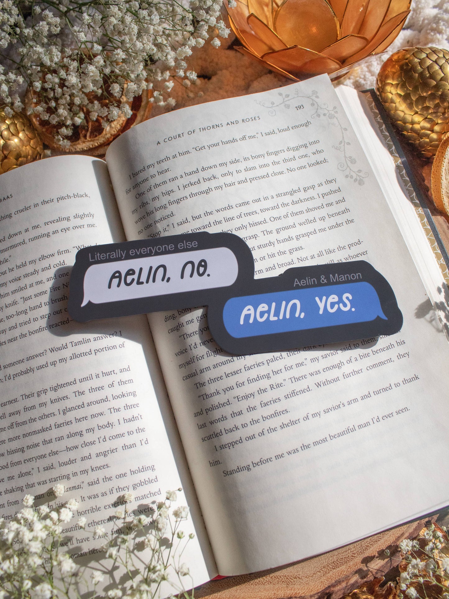 Meaggie Moos - Aelin, No / Aelin, Yes Text Bubble Bookmark | Thone of Glass - The Secret Garden Bookery
