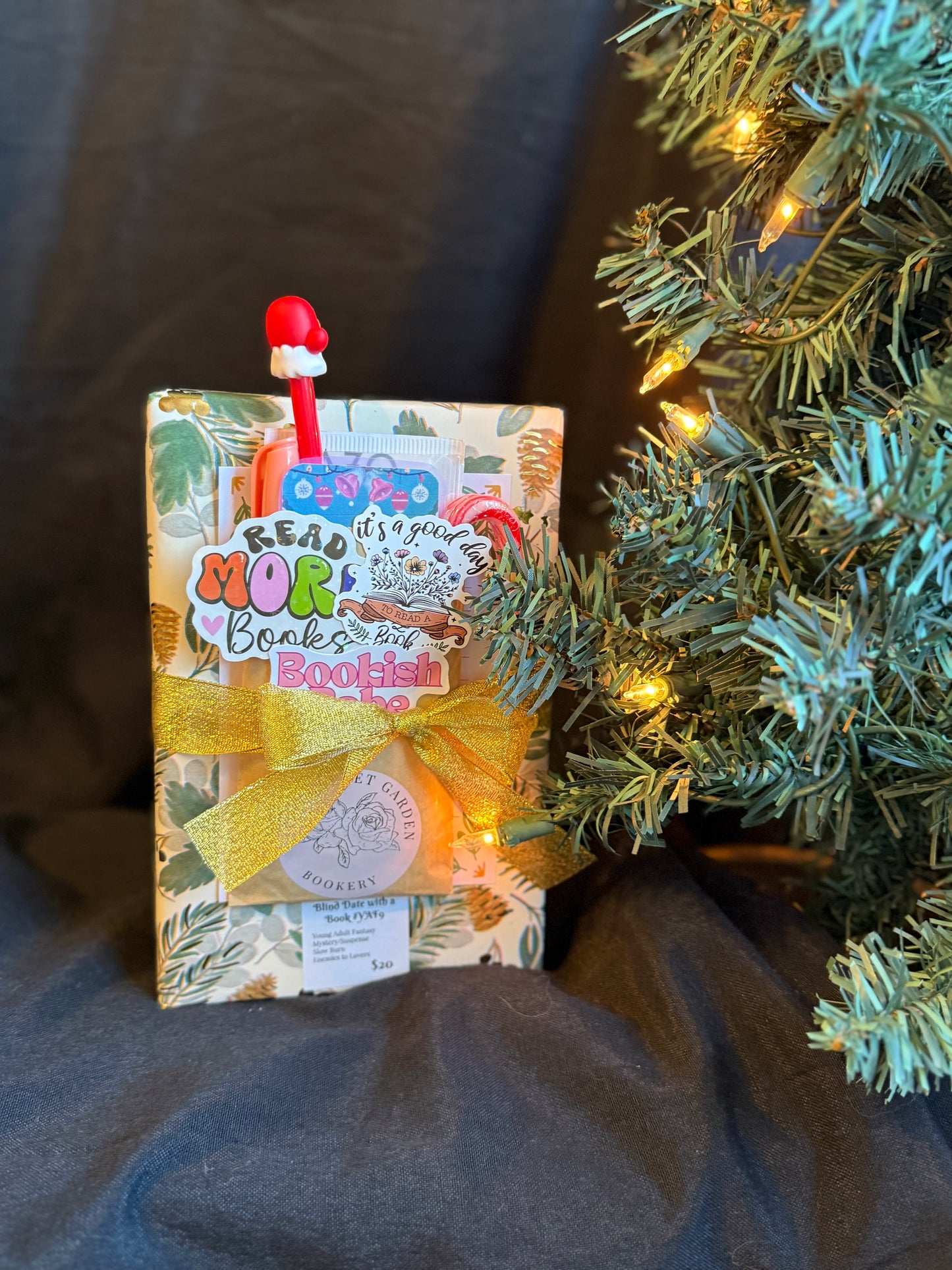 Blind Date with a Book YAF9