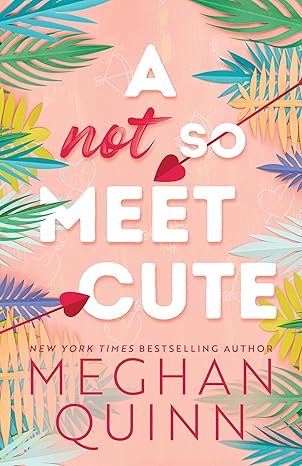 A Not So Meet Cute Meghan Quinn (Cane Brothers Series #1)